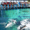 Plan Silver - Imagen 6